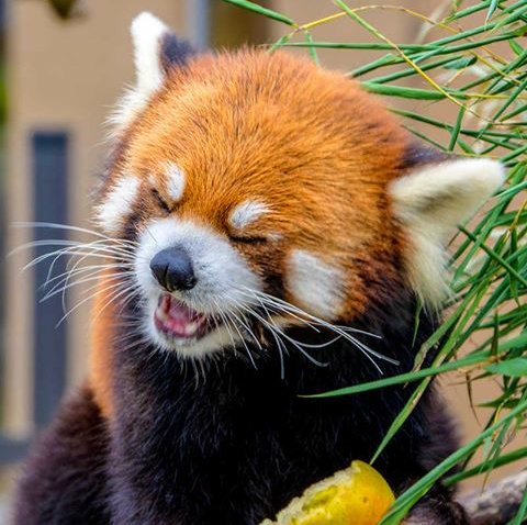 너와나의대나무숲