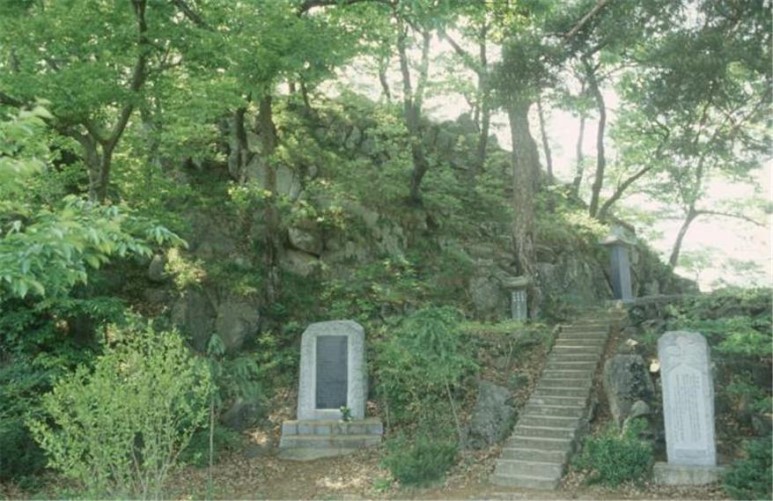 고향막걸리 이미지