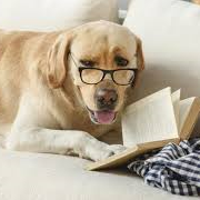 이것저것열독하는편