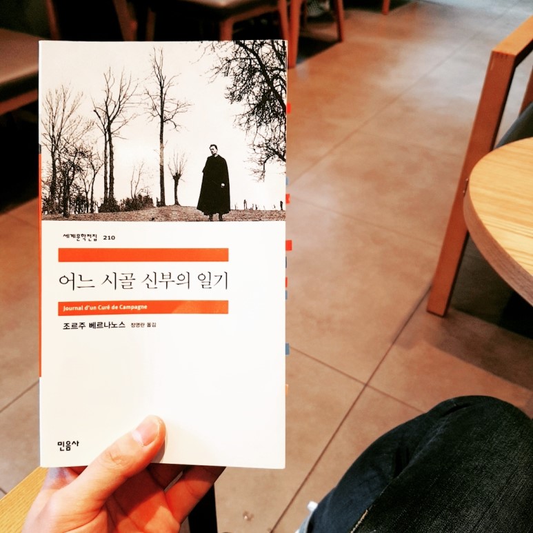 시골전집 이미지