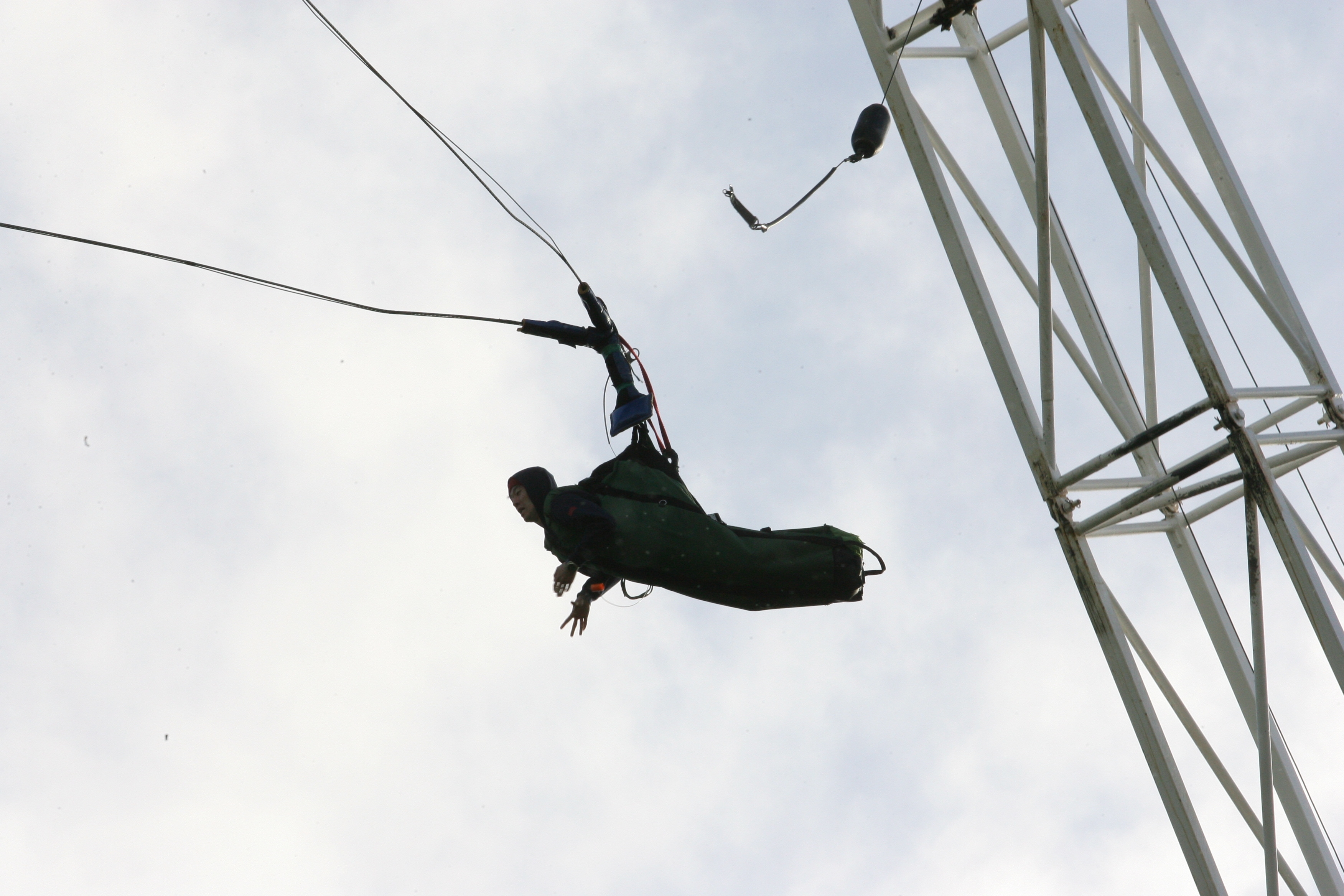 솜사탕 인사이트