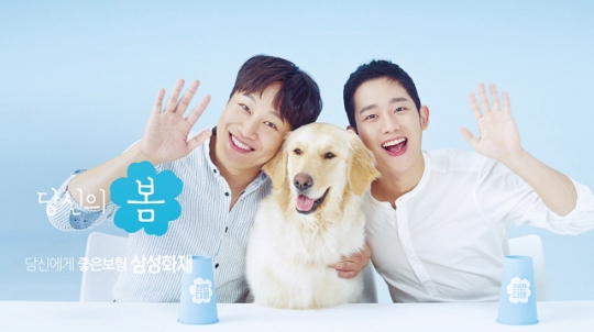 매일안전&광고 이미지
