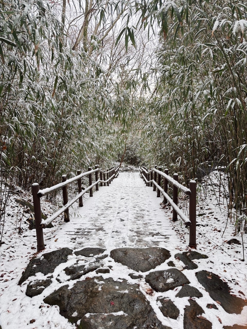 조용훈 Jo Yong Hun 행복이야기꾼