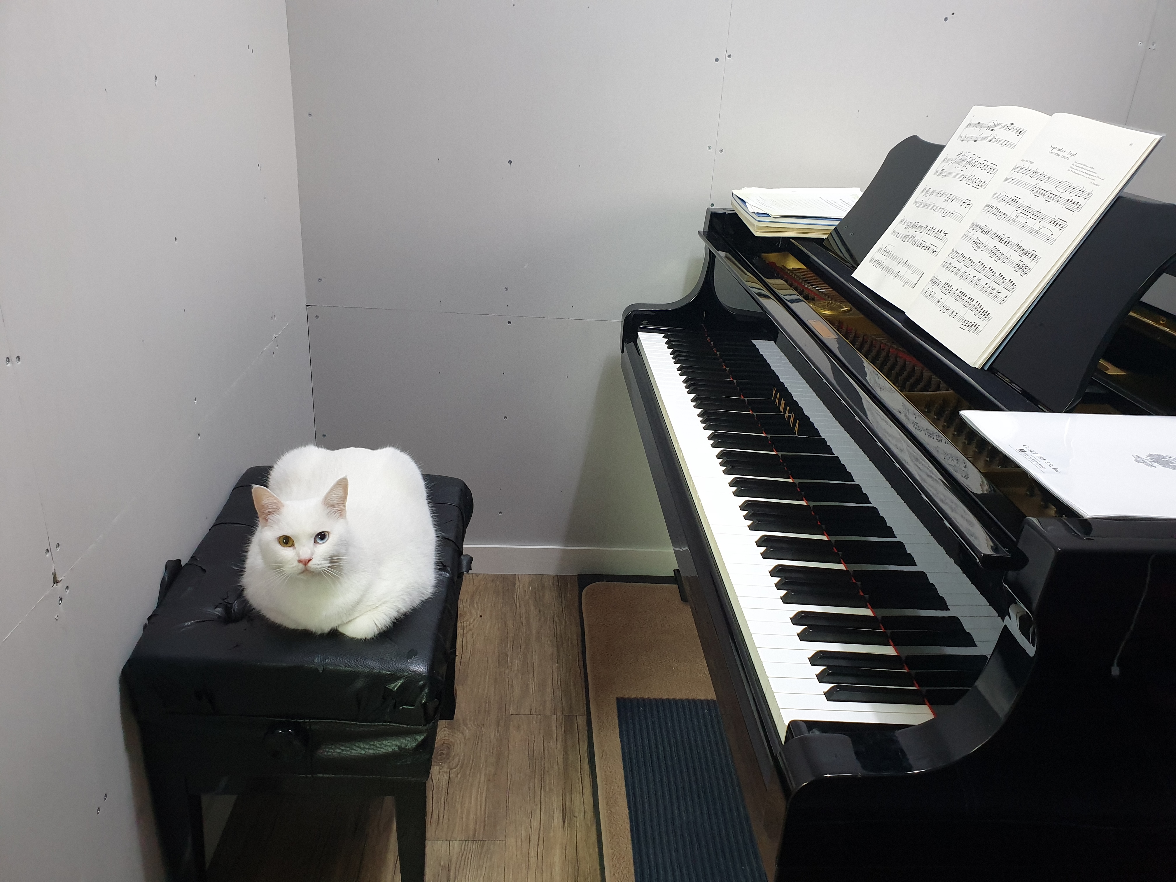 채유빈나빈금빈루빈하빈세빈