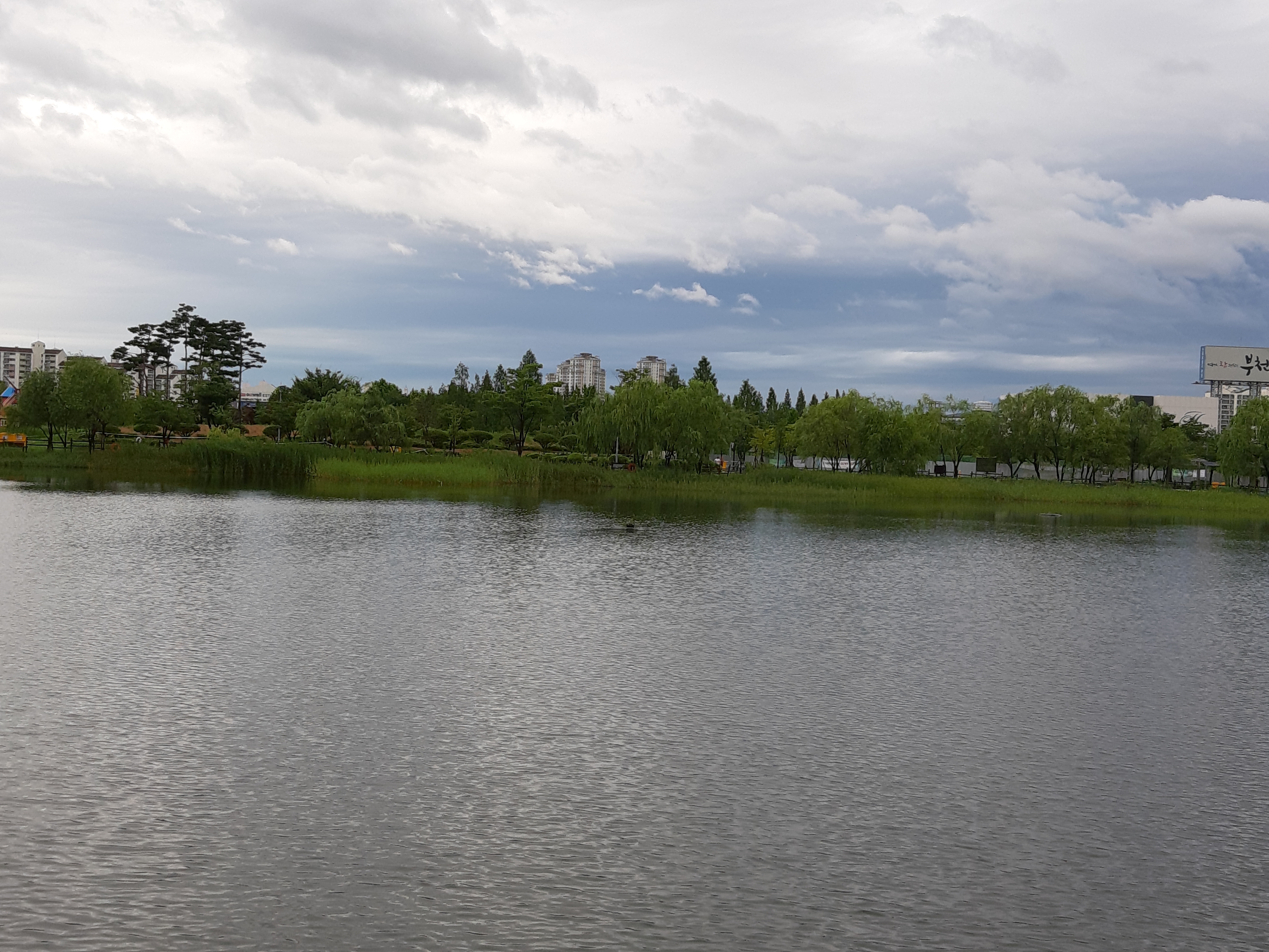 꽃들에게 희망을