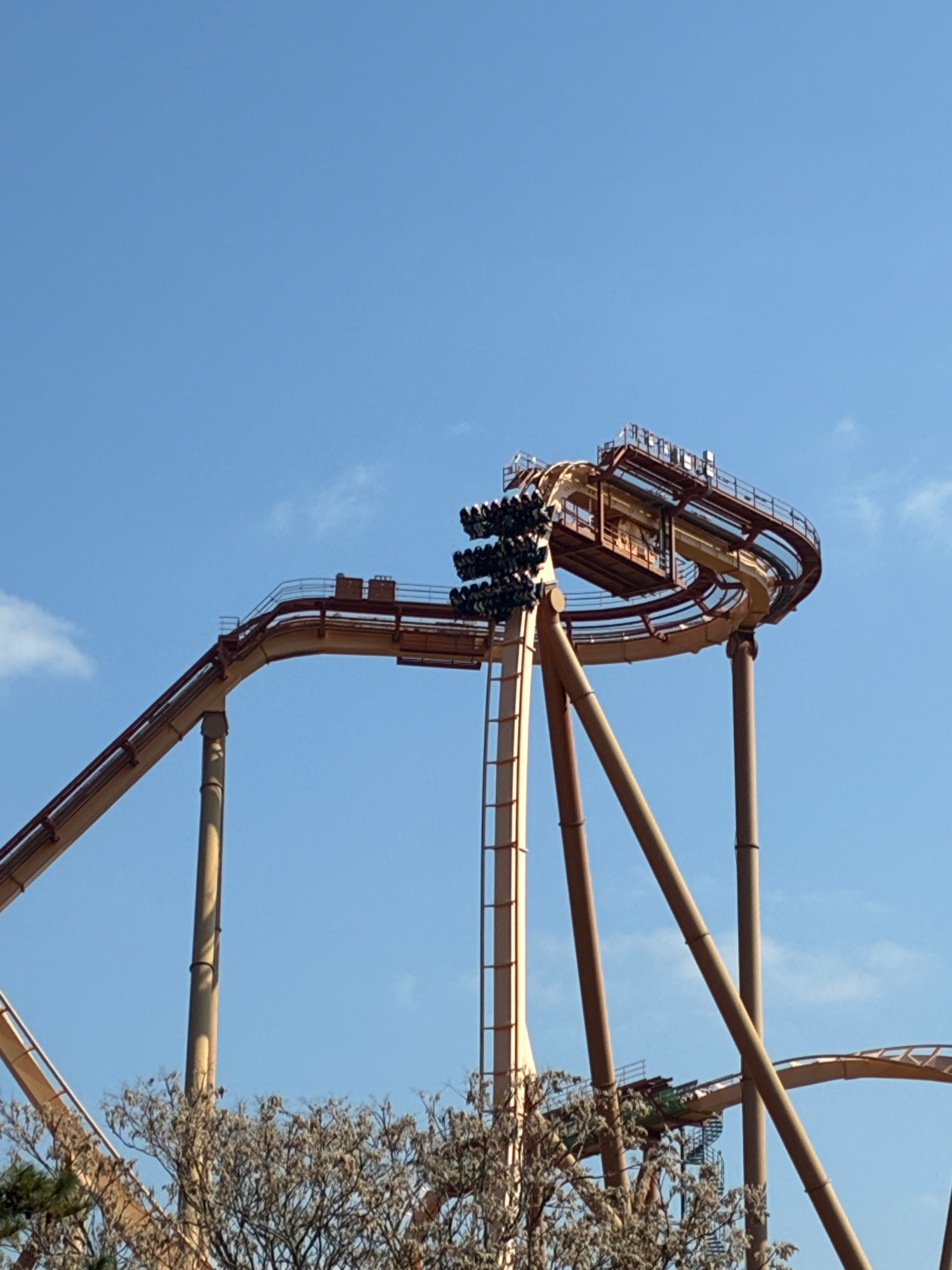 롤러코스터 매니아