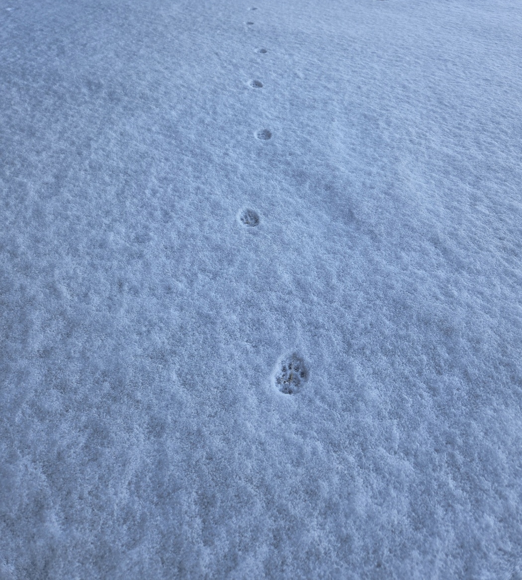 푸른하늘은하수