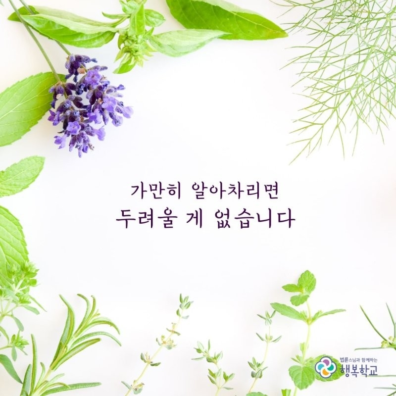 선아