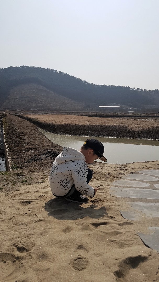 제제모드 이미지