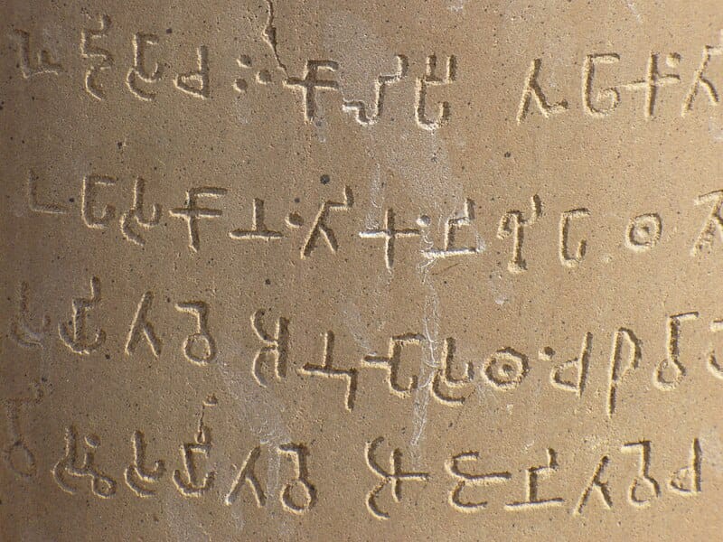 콜롬보 이미지