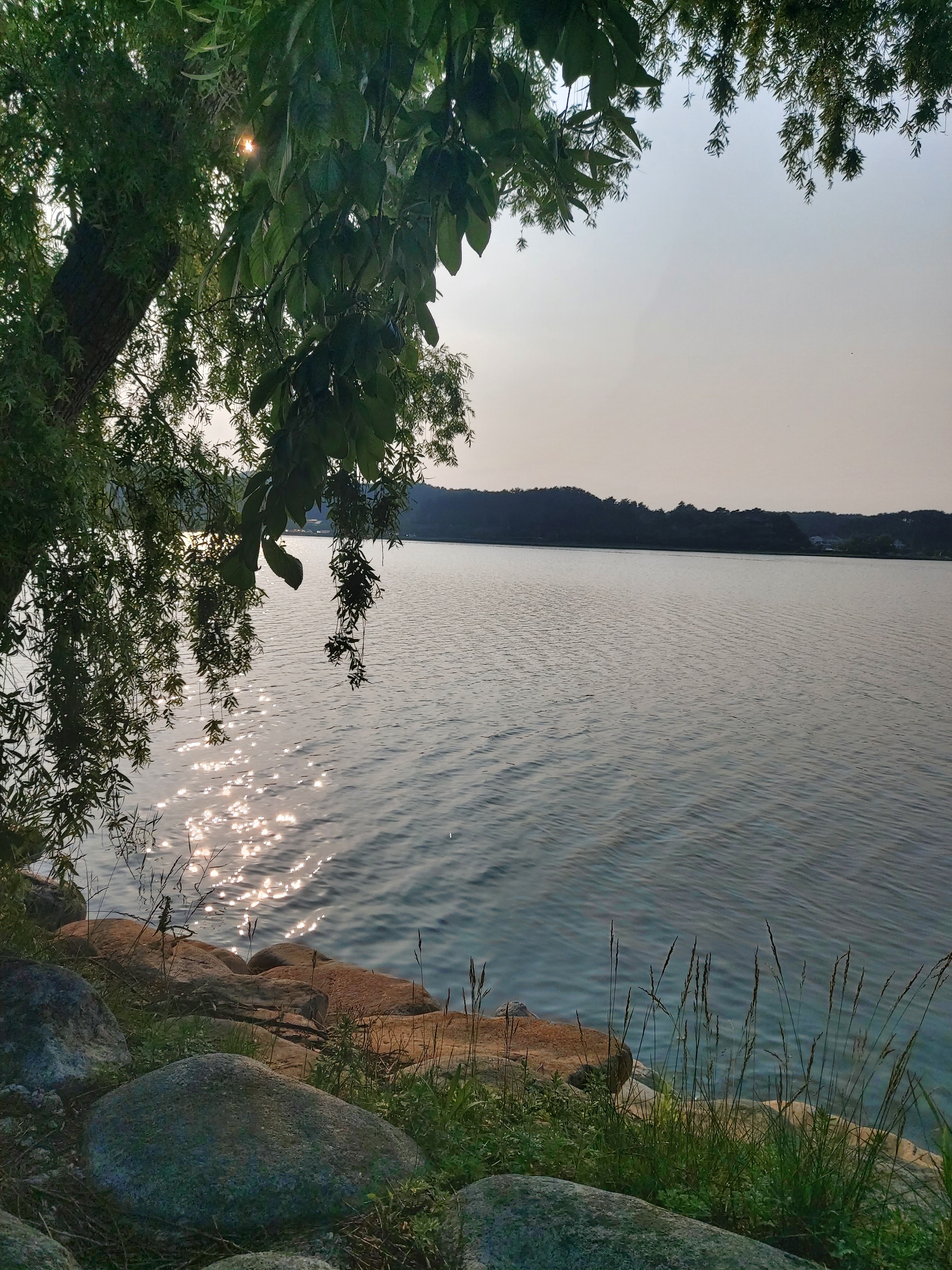 이 지구의 앤셜리