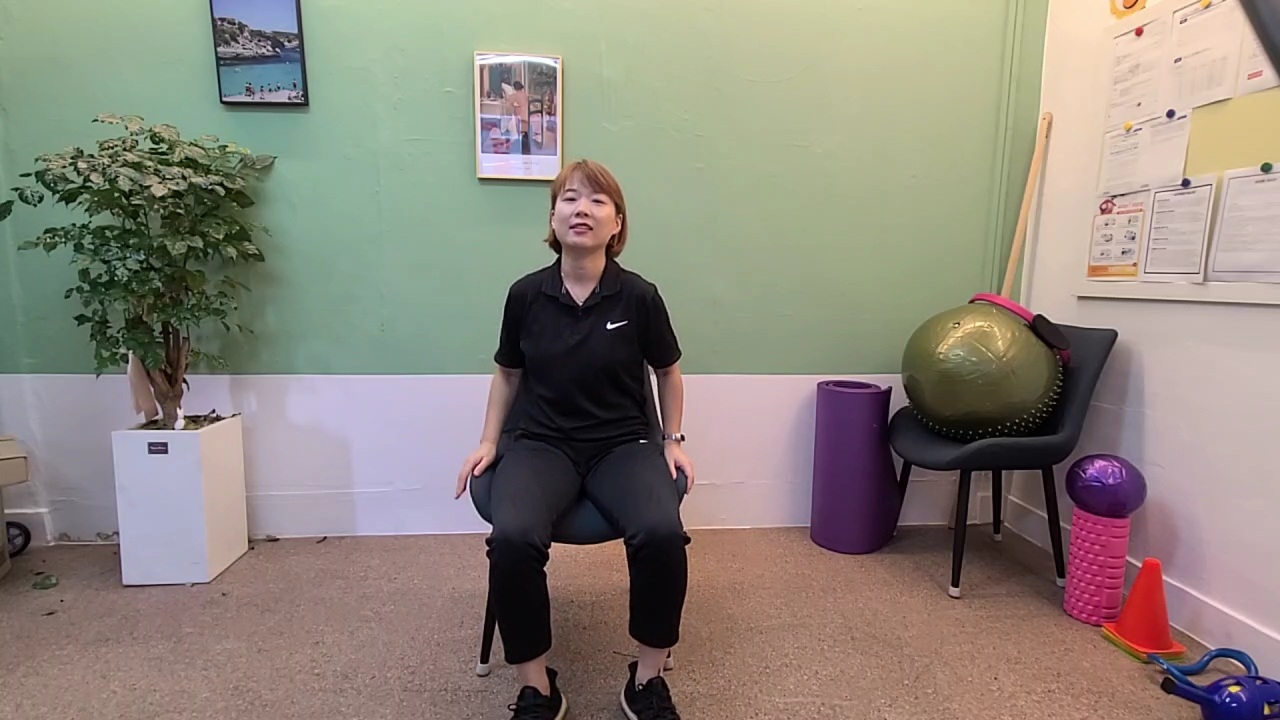 물리치료사 엘피티