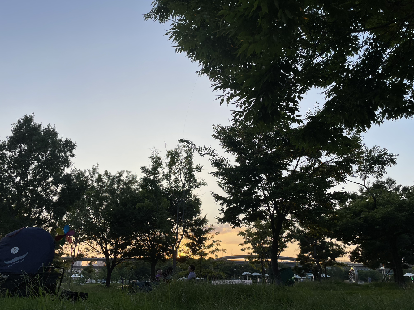 축구도사무도사