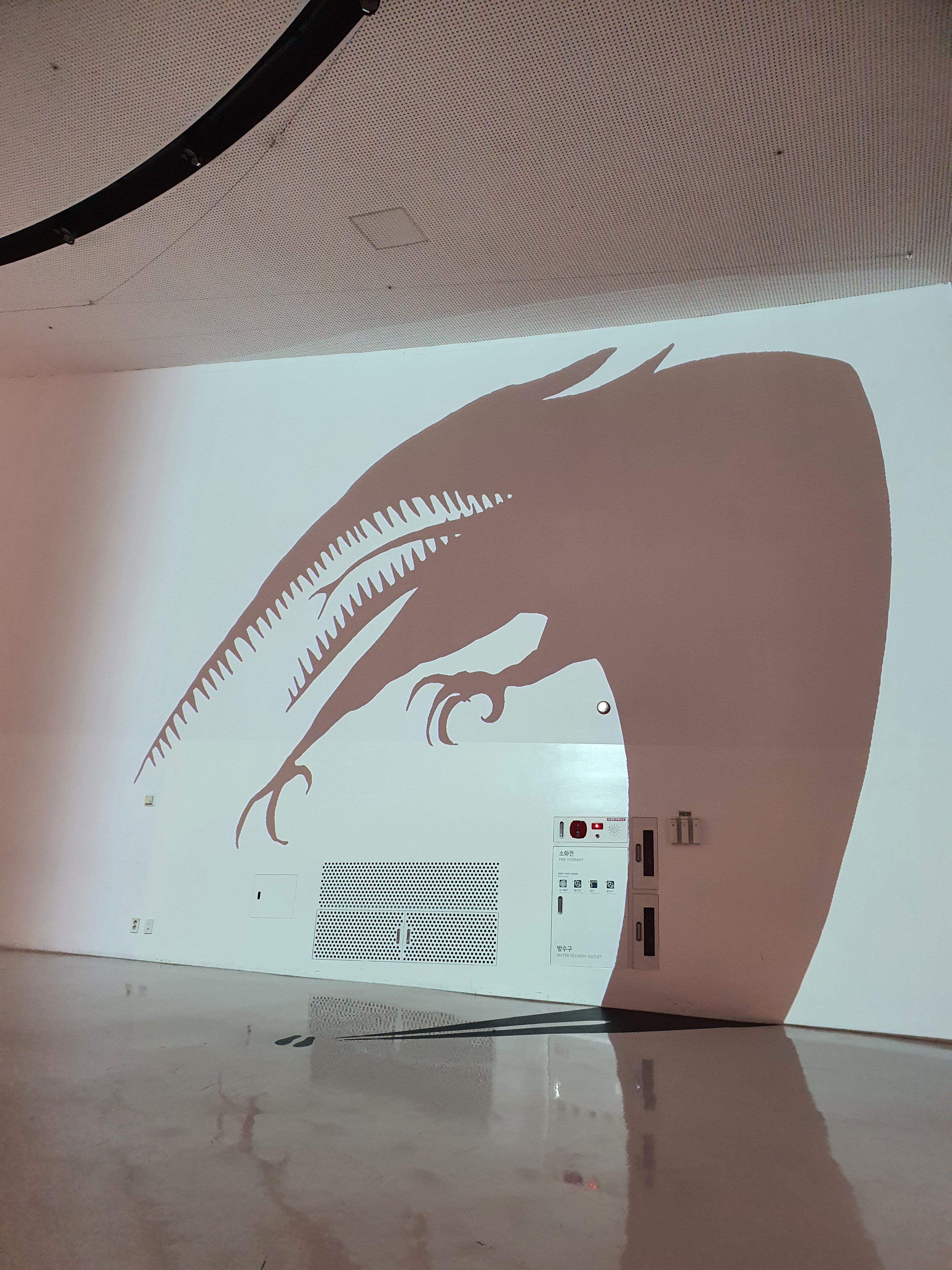 날아가는 동그라미