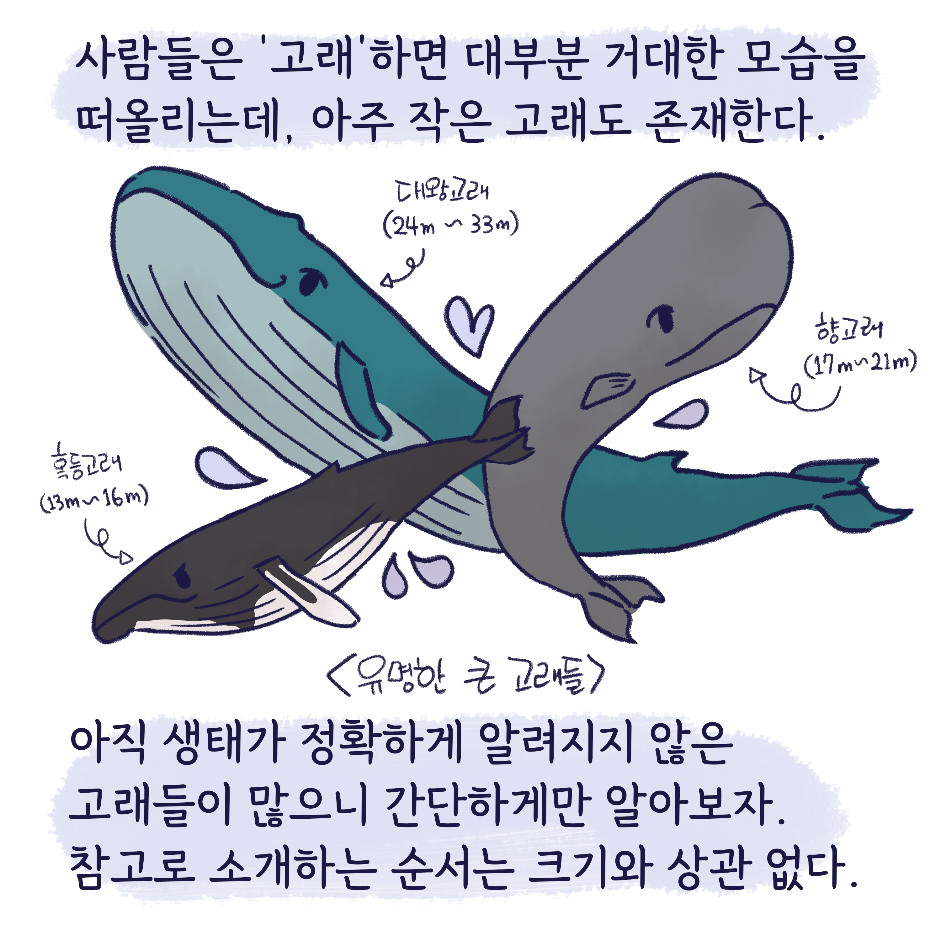 작은 고래들