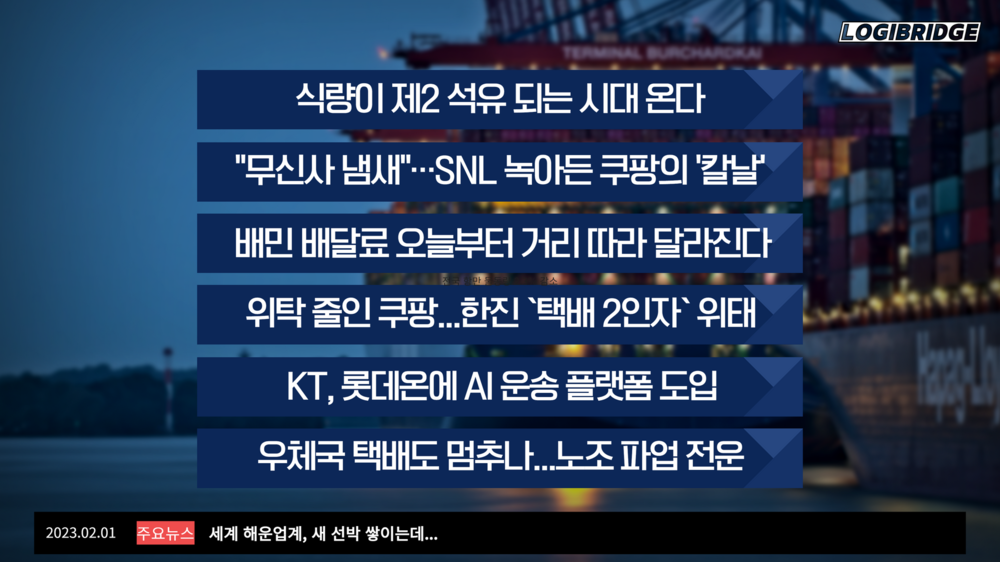 디아이브릿지 이미지