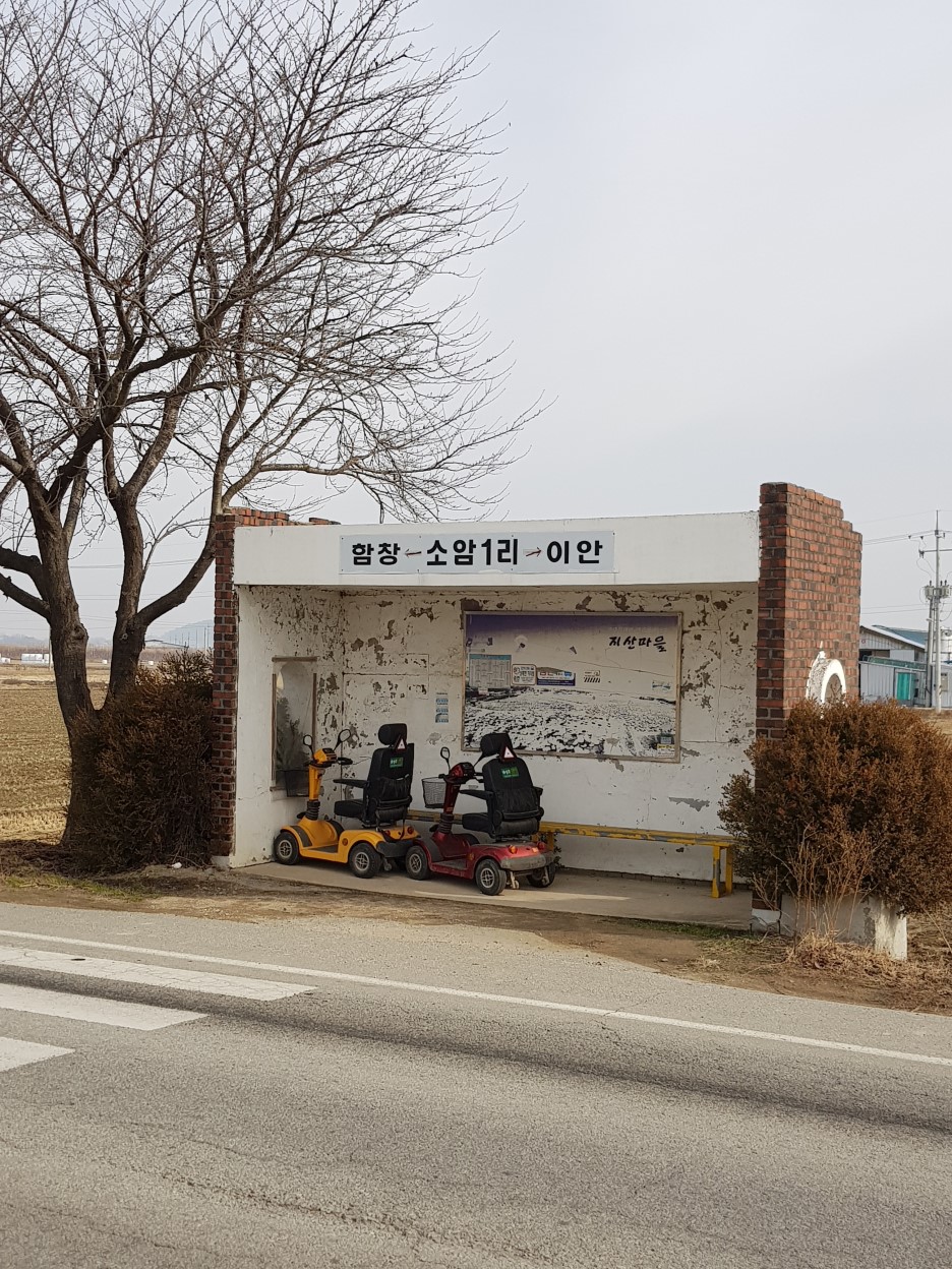 9일차 : 상주터미널 인근에서 점촌까지