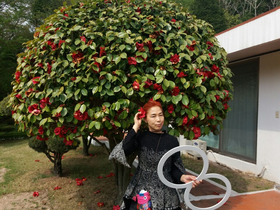 JL매직퀸소경희