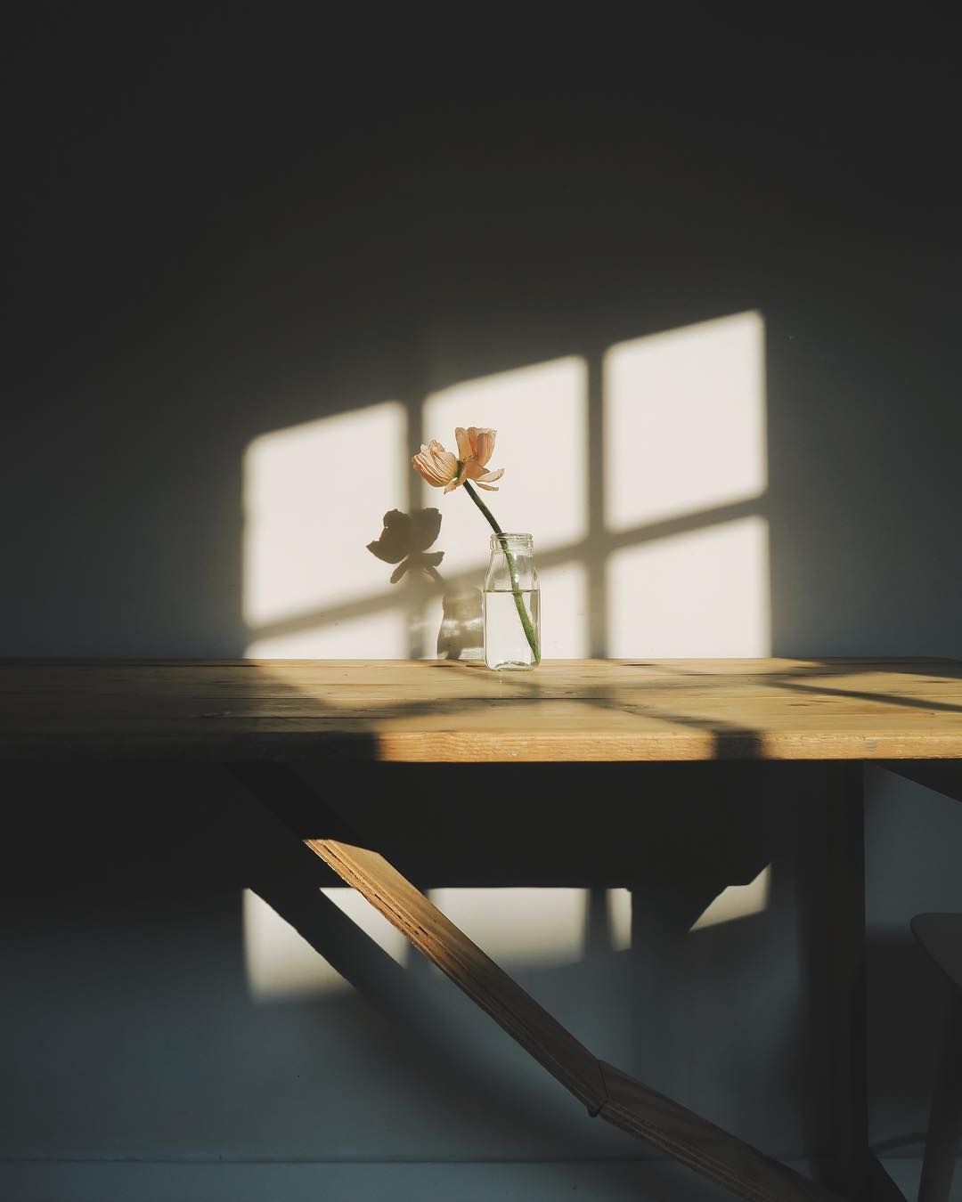 세콩