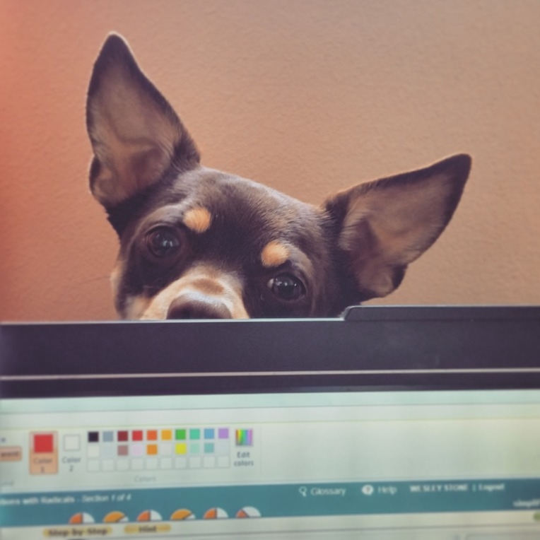 Growing up with DOGs