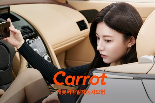 DB손해보험(주) 이미지