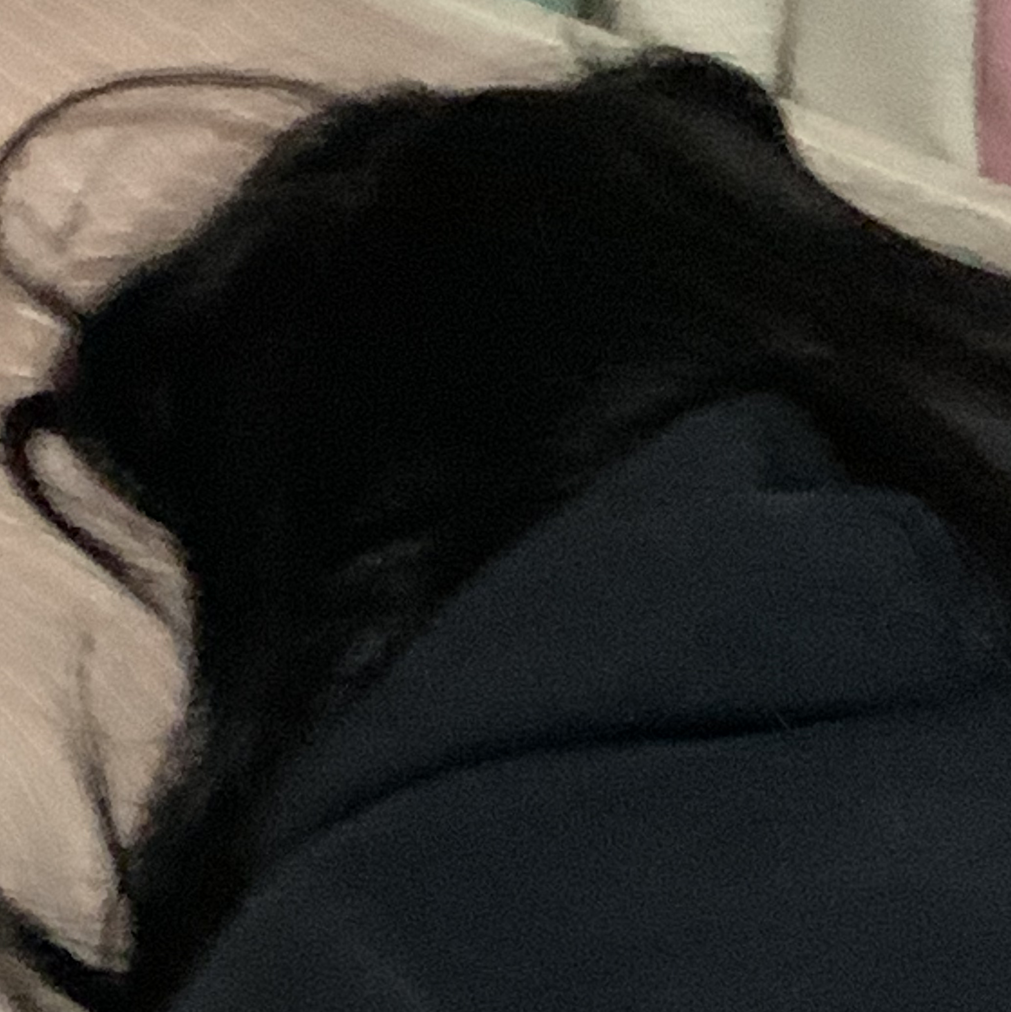 모든게 부질없지만