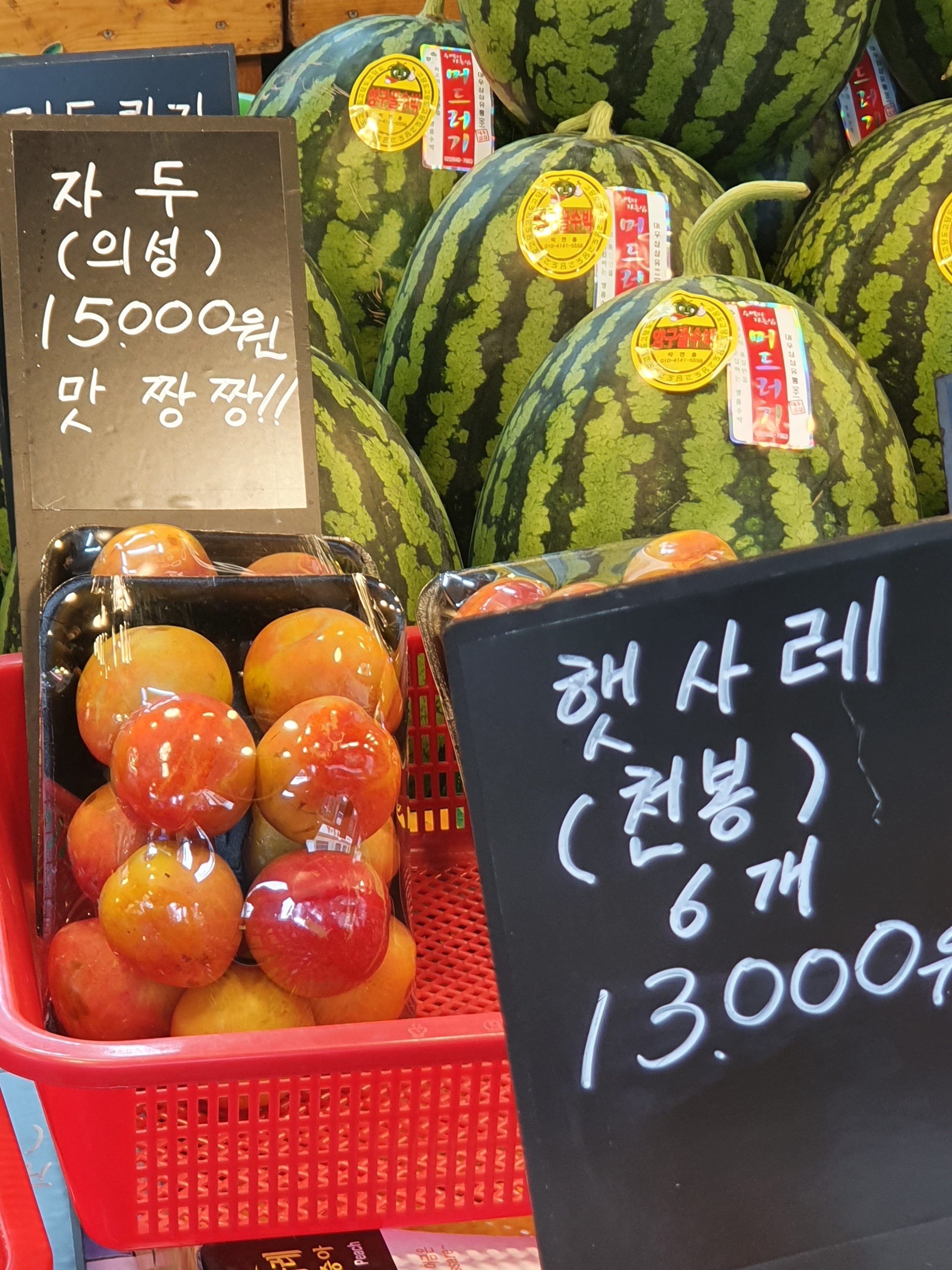 고미커피 이미지