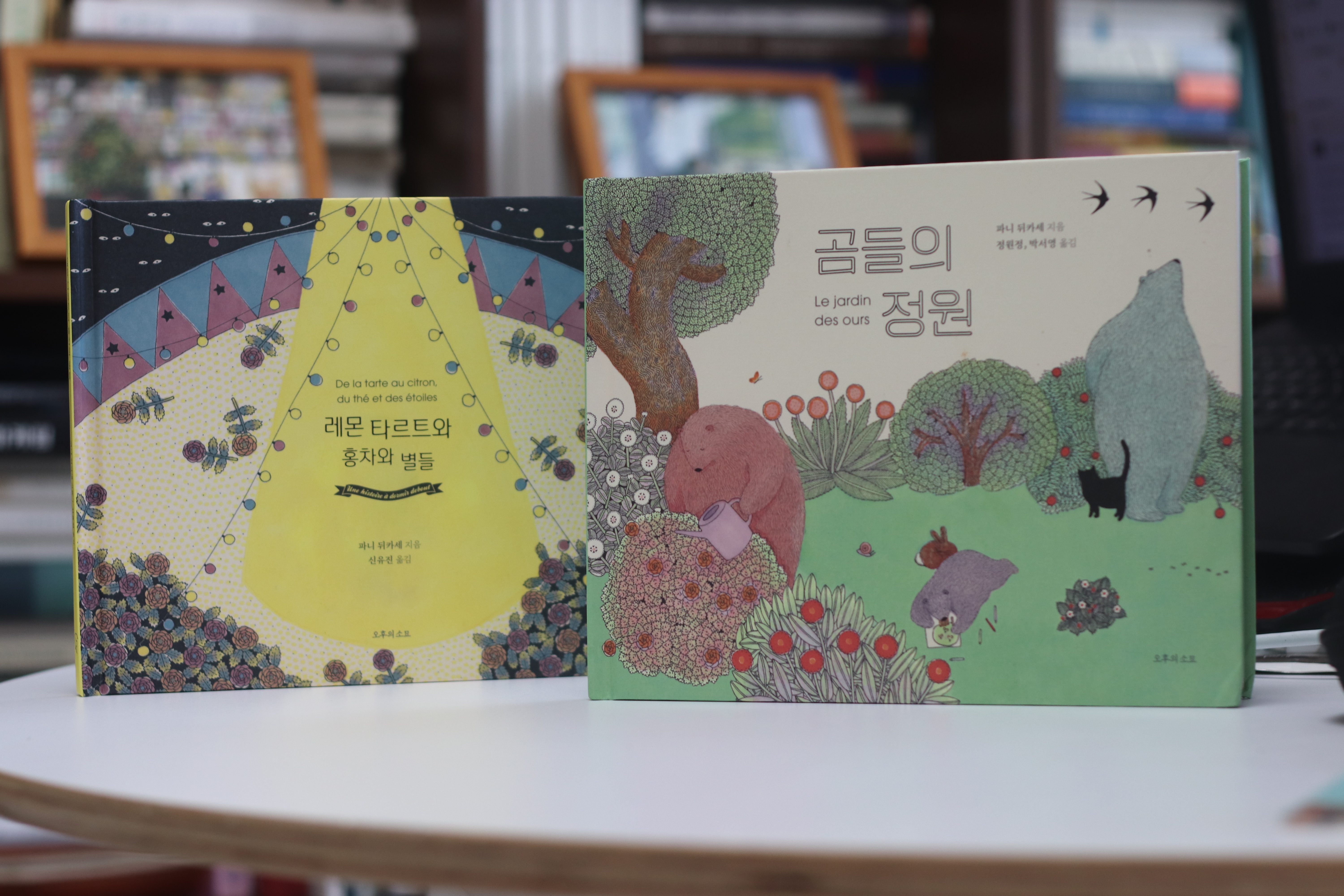 타르트곰 이미지