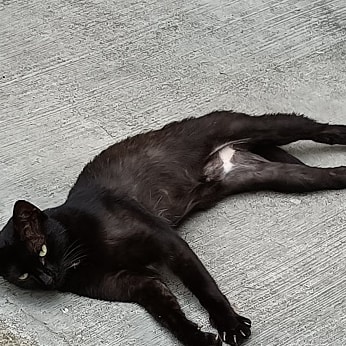 온셰어 이미지