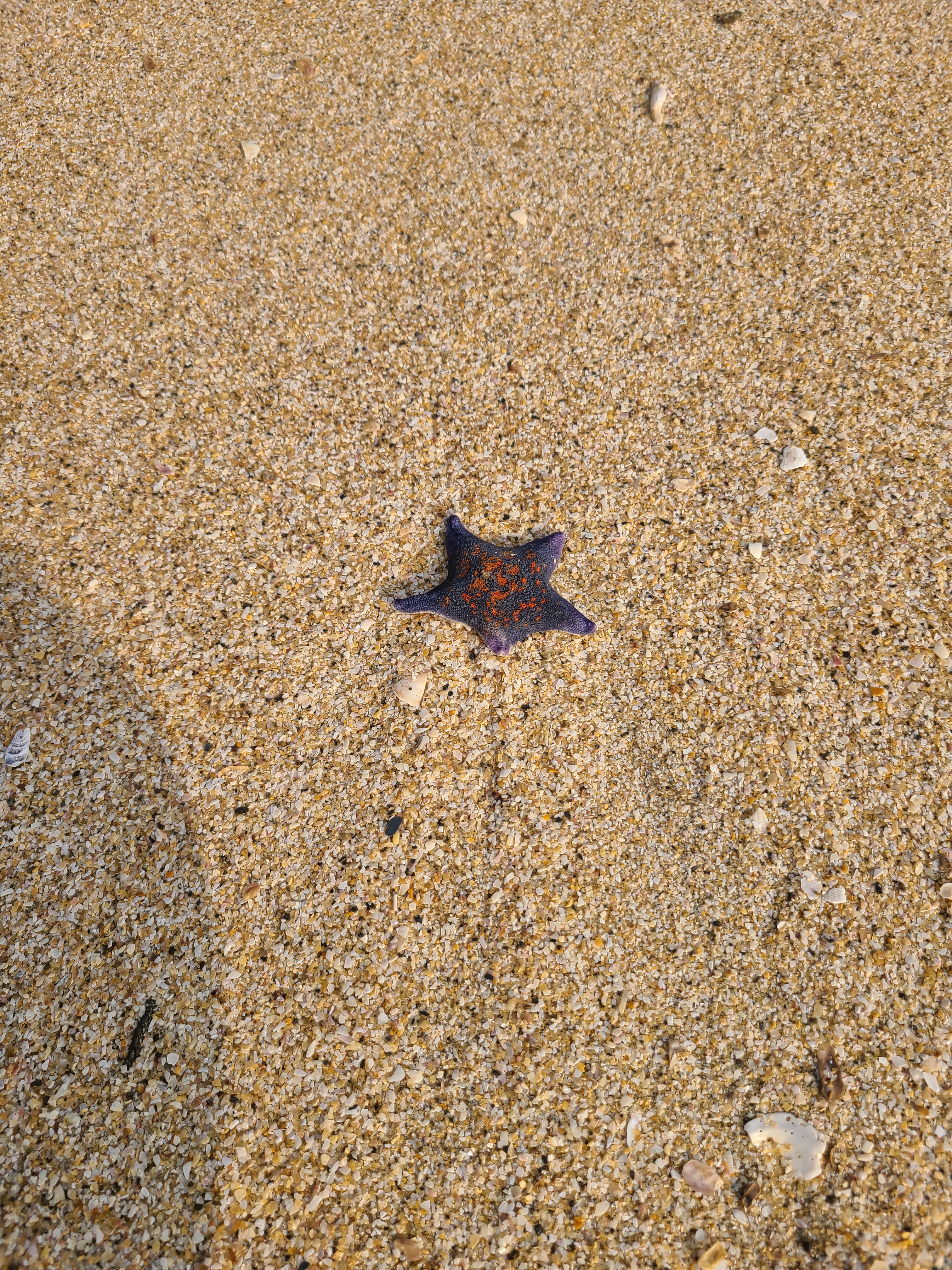 벽난로 옆 커피잔