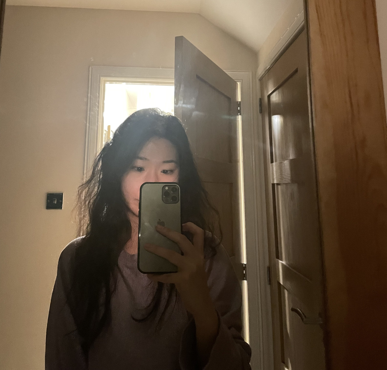 스카이진 이미지