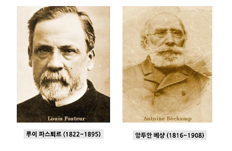 파스퇴르세종 이미지