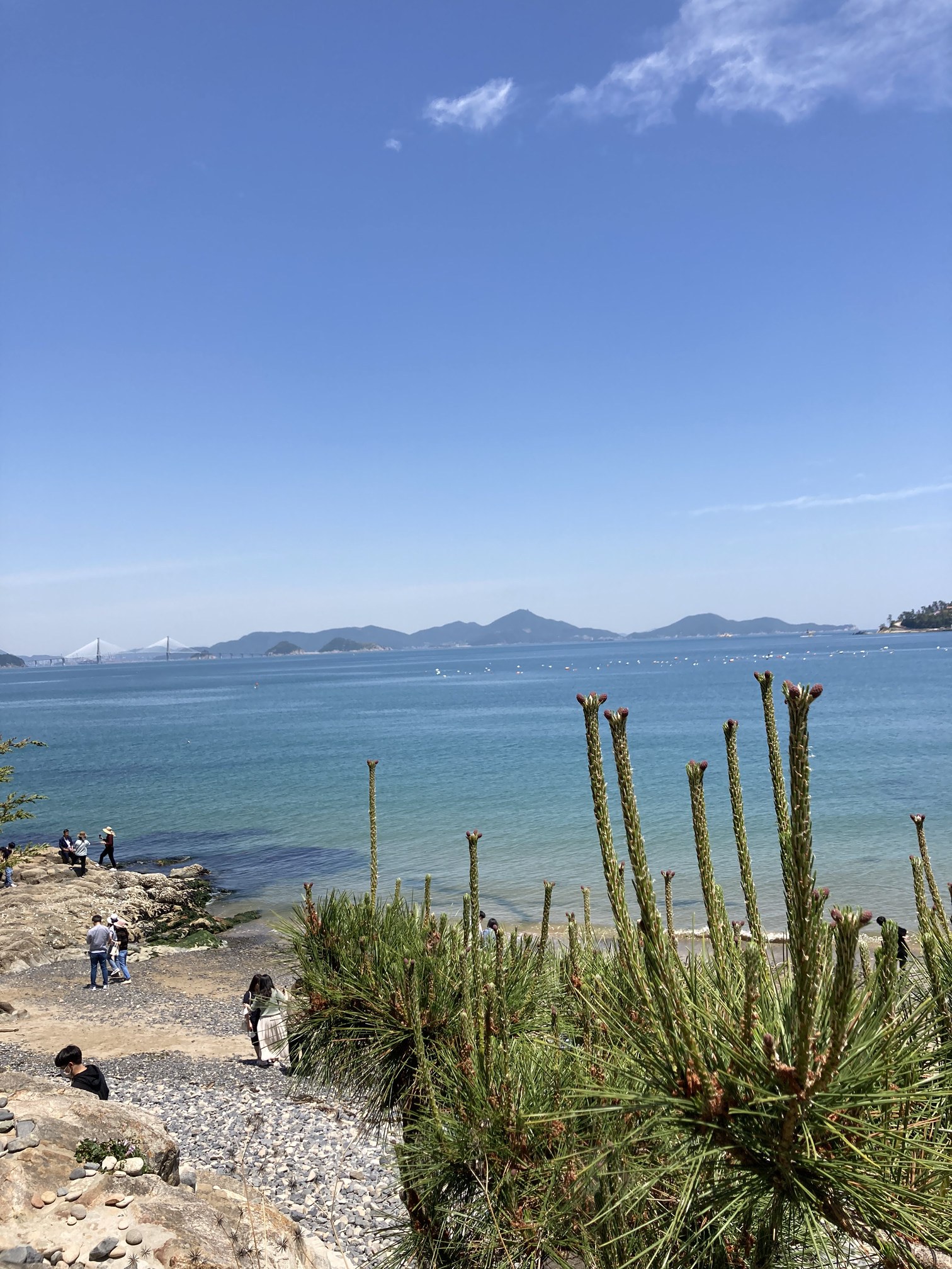 돈에 빠지다 이미지