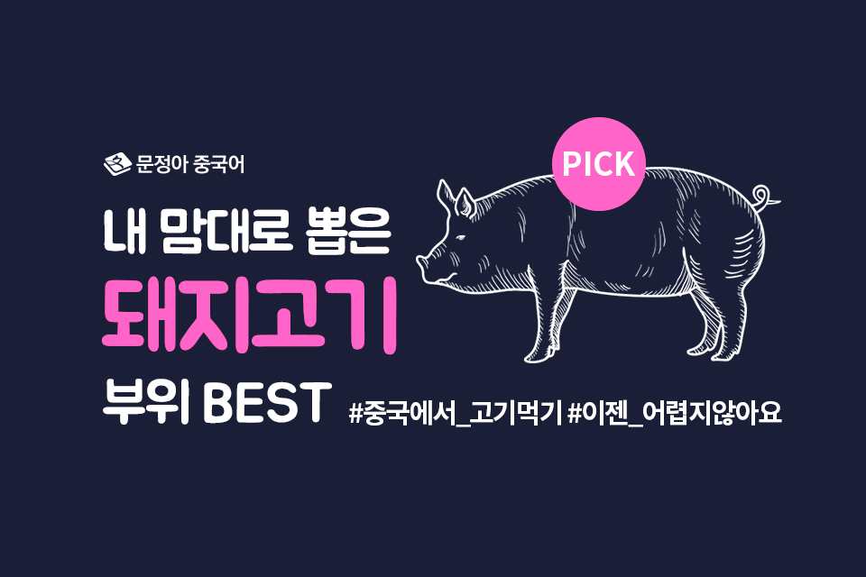 내맘대로돼지 이미지