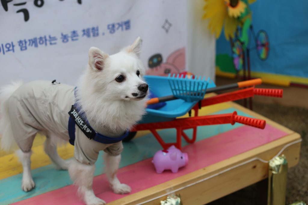 생생농장 이미지