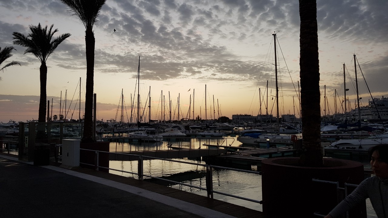 안킬로사우르스