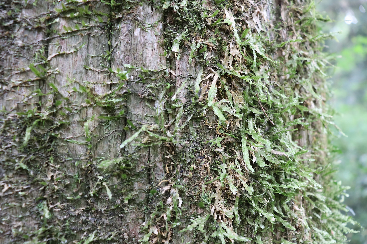 아름답기만 하지않은 미