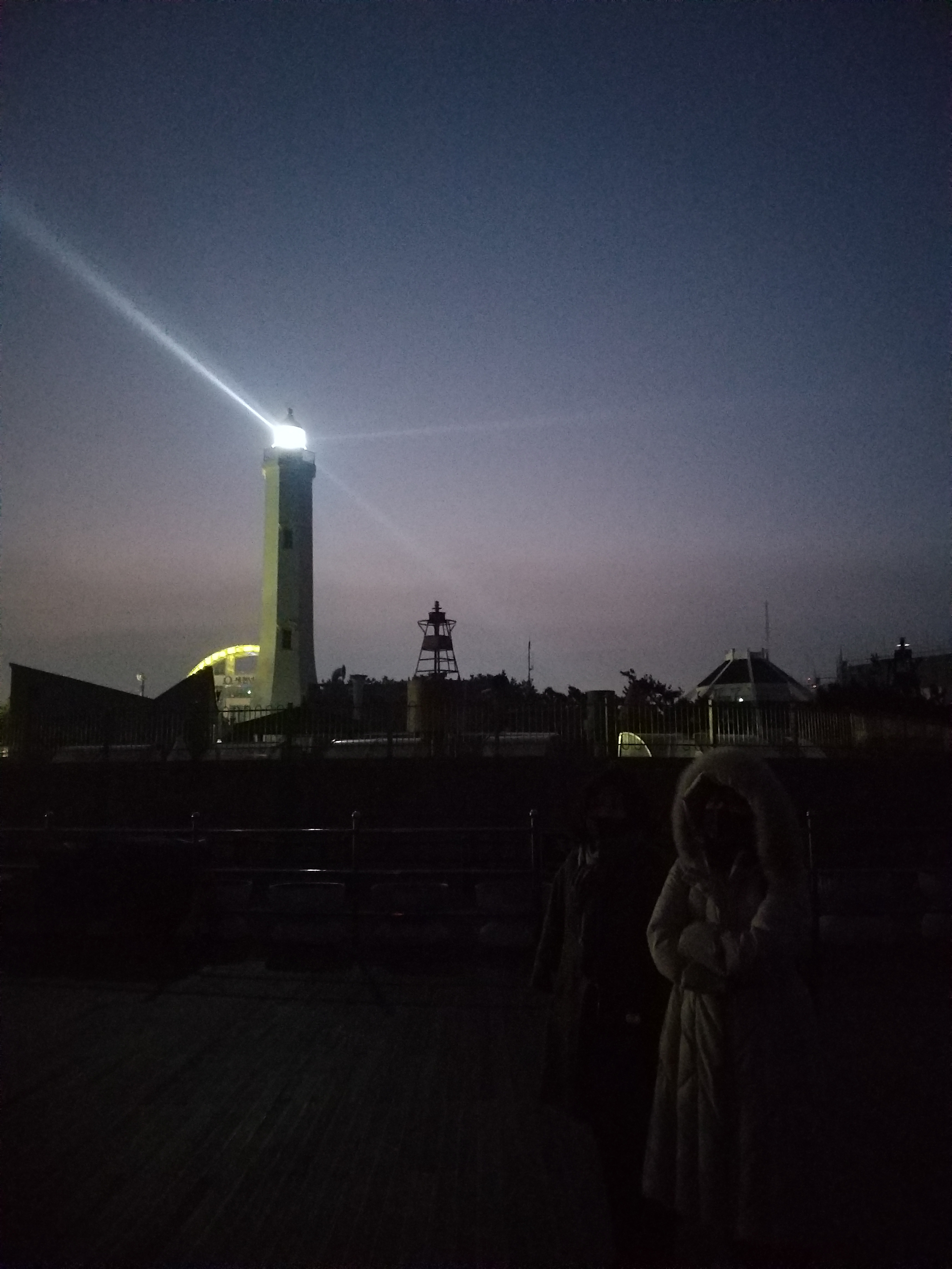 창밖플라타너스