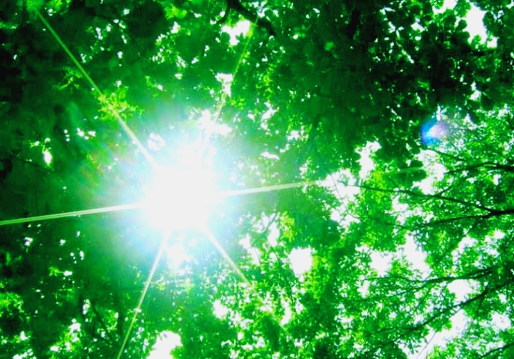 사랑에 빠지다 내 삶과