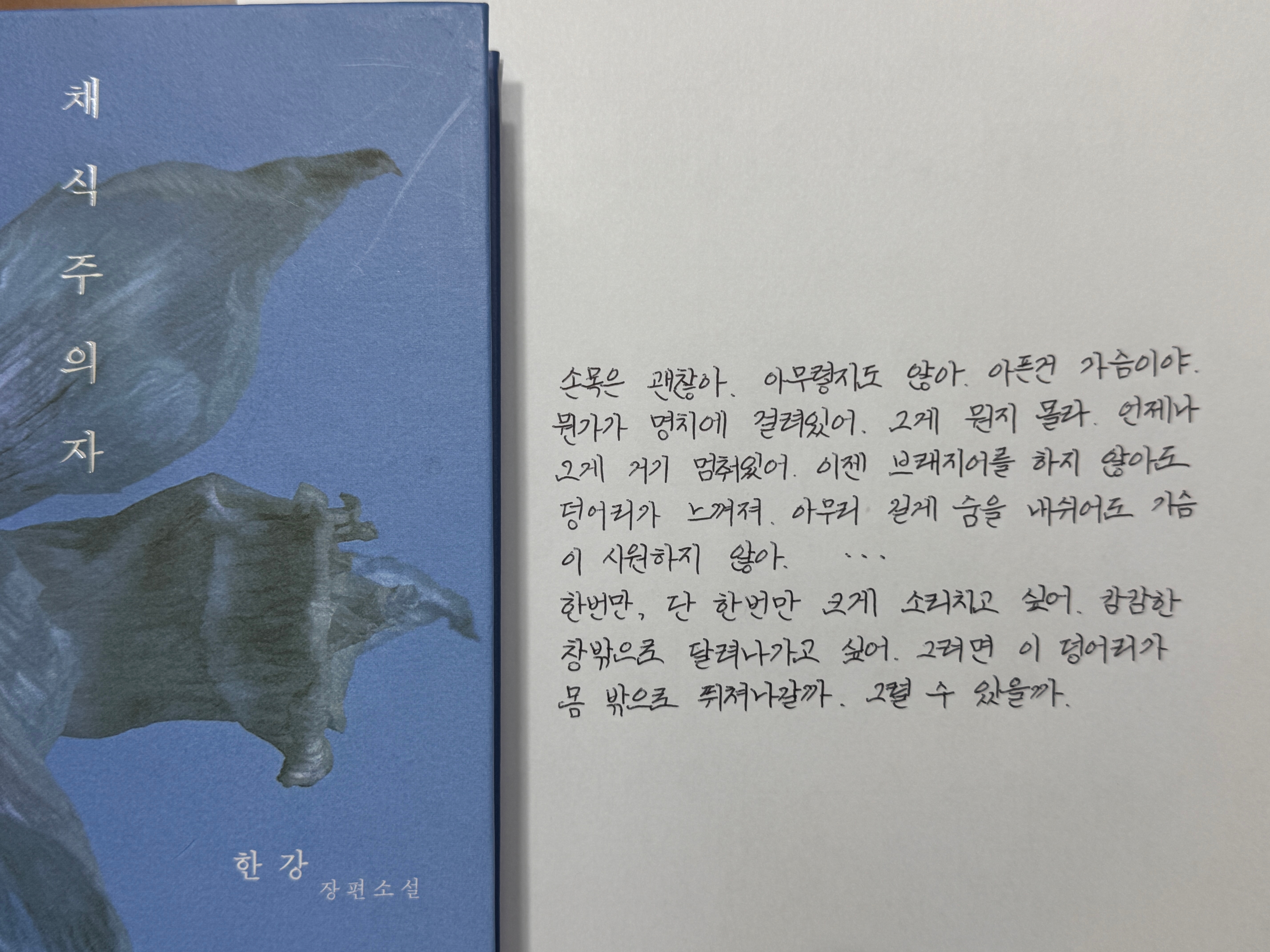 덩어리 이미지