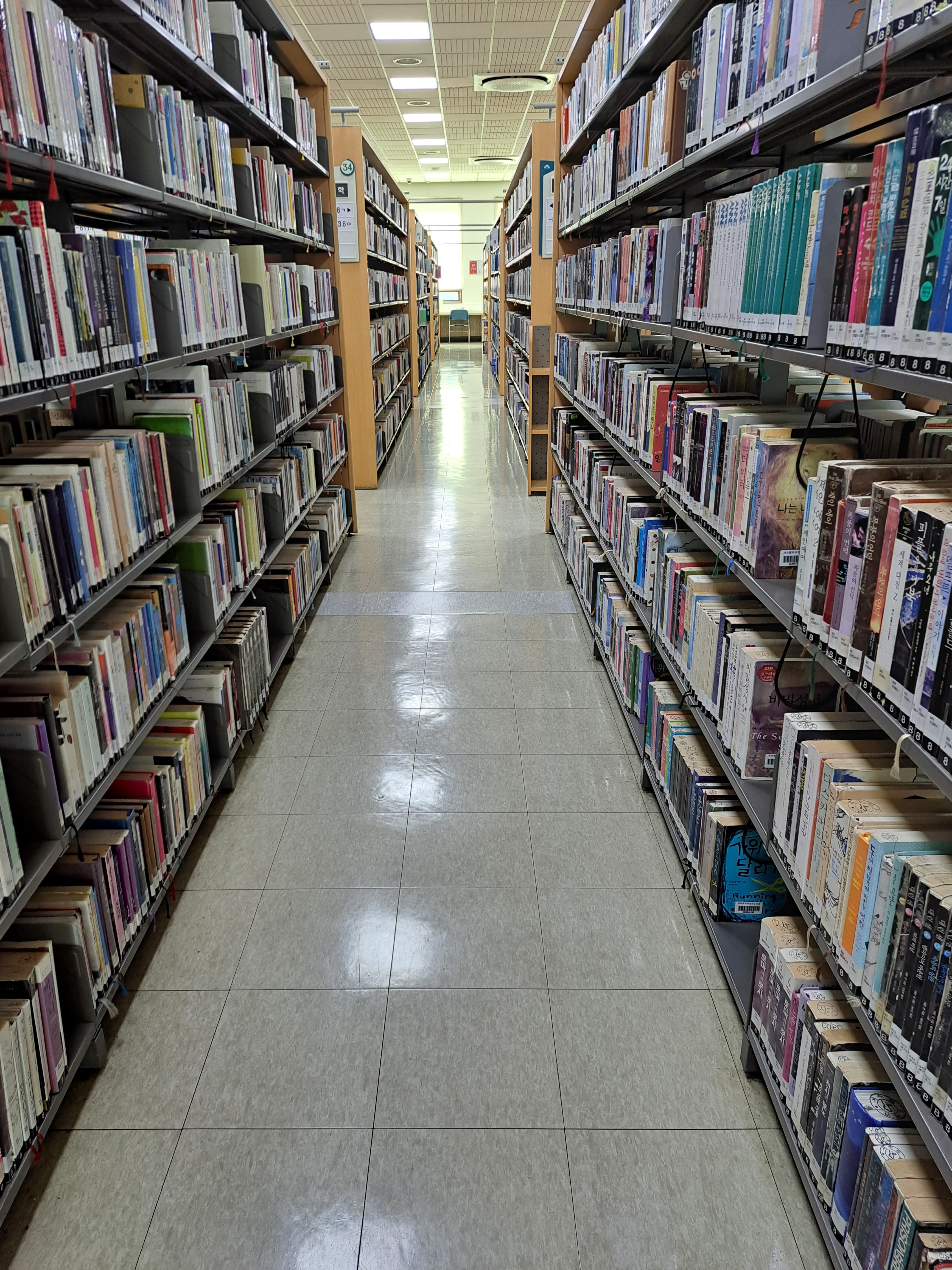 인생은 장편소설