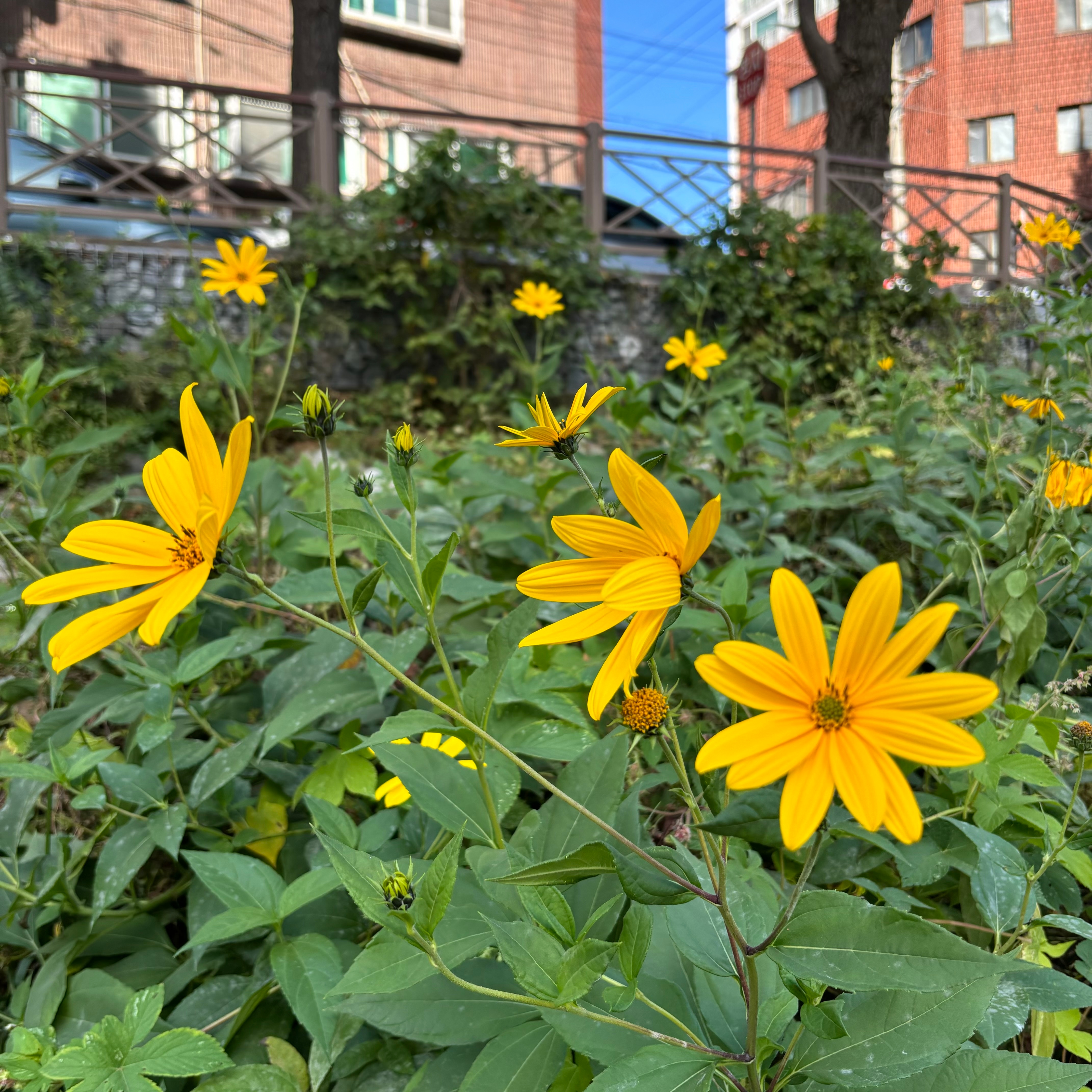 인생은 결정의 연속