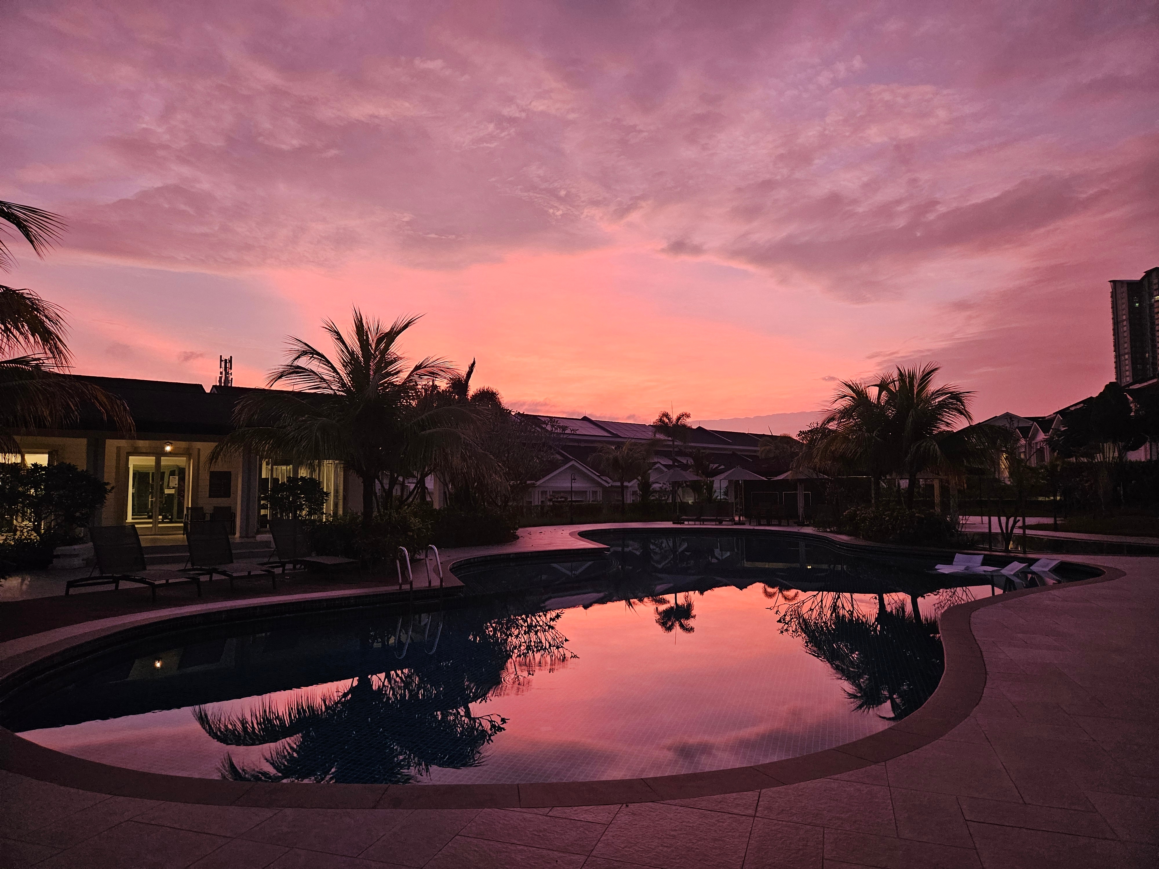 정직하고 자유롭게