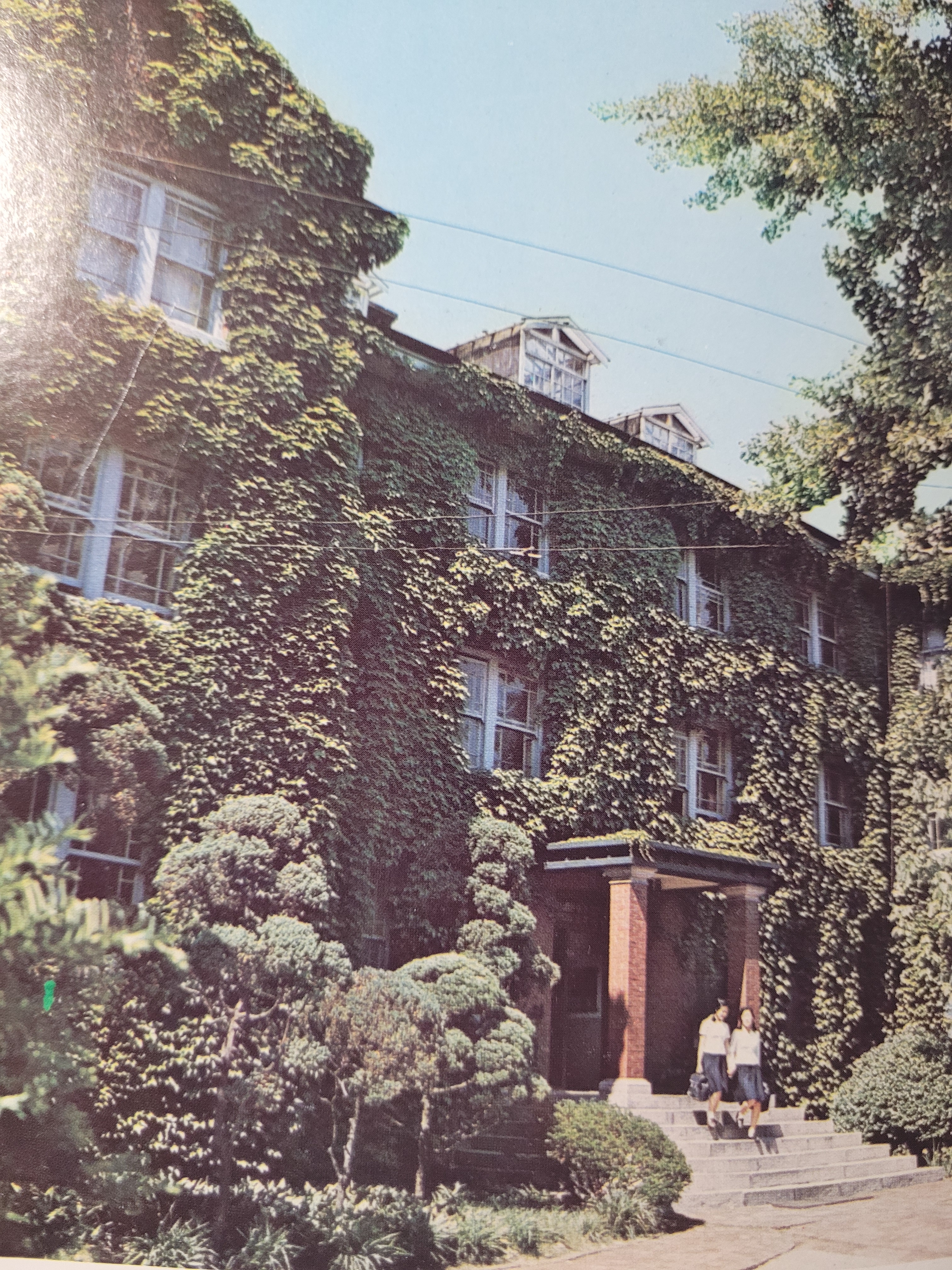 잔디밭 이미지