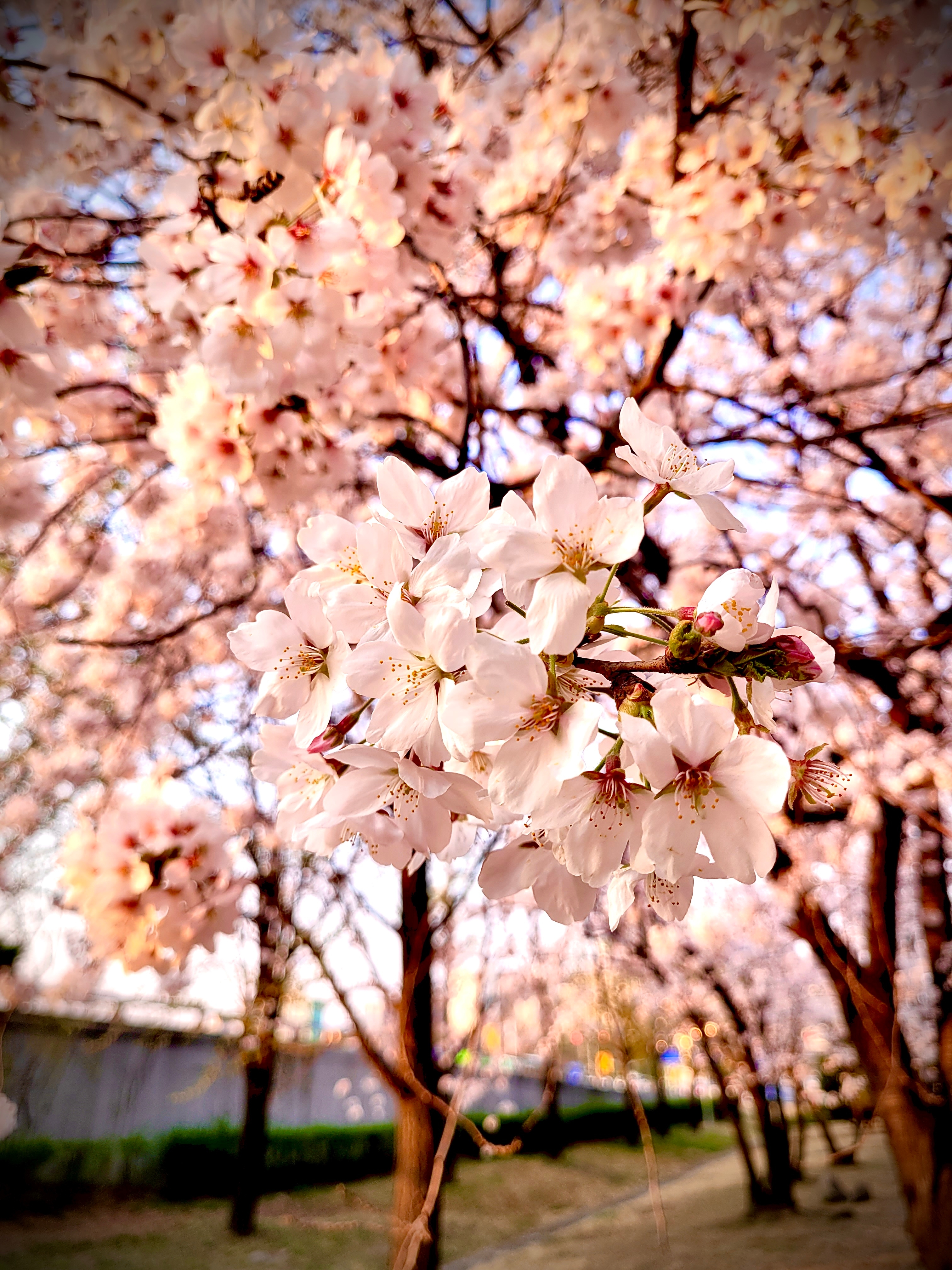 notebymin