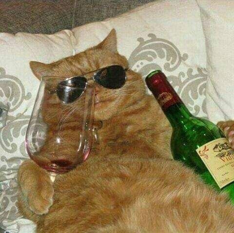 김똑딱