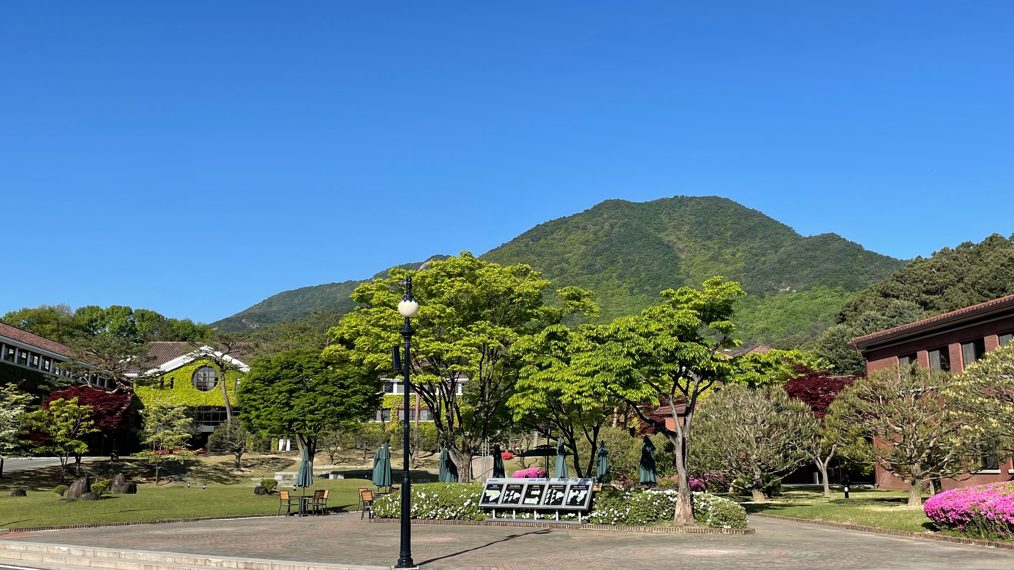 시라노연애조작단