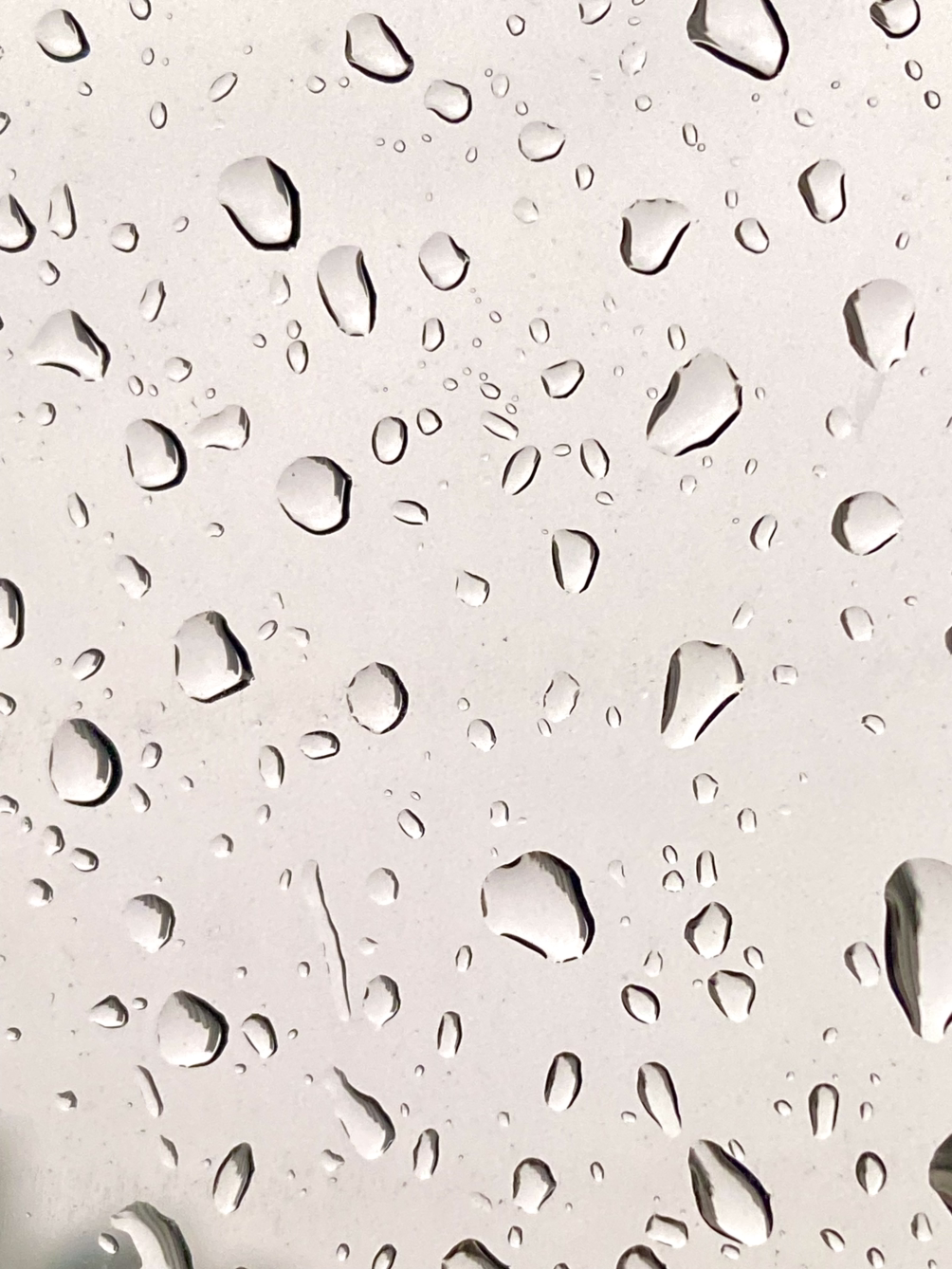 그리하여 부질없음