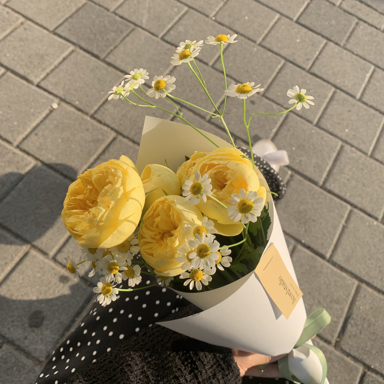 뜨는해와 지는해의 사이