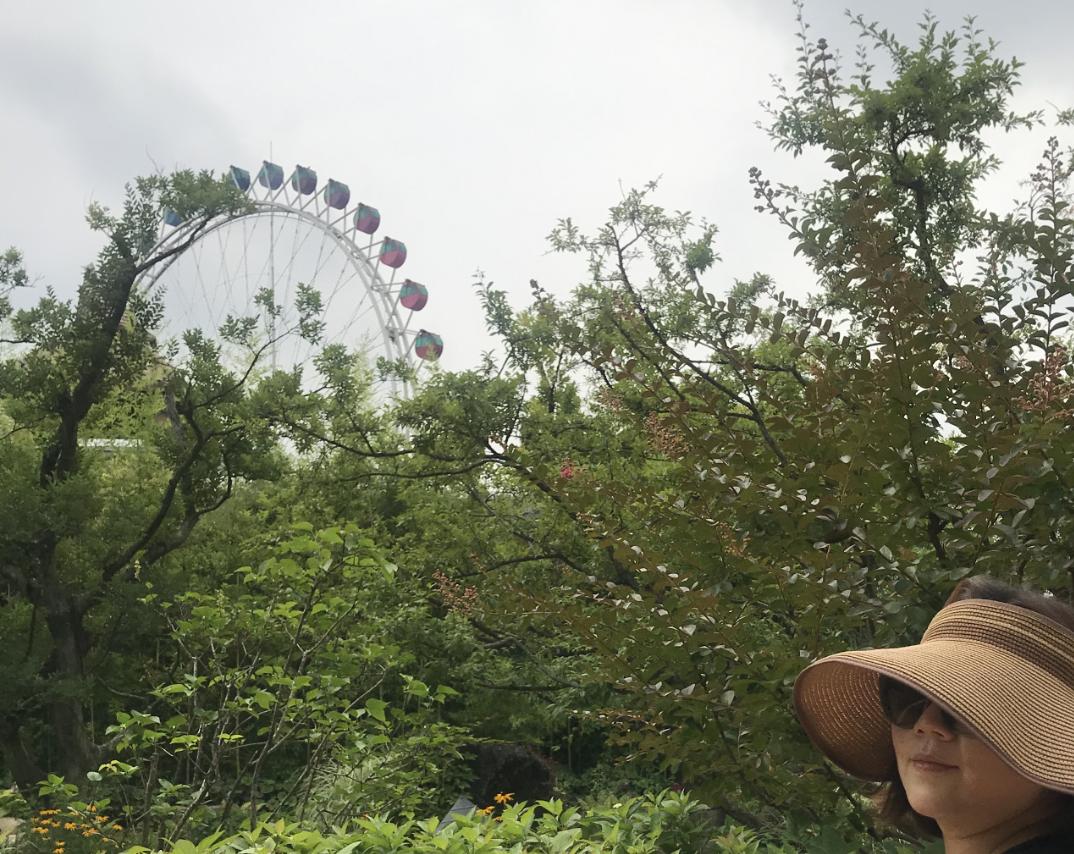 대단한 그 무엇